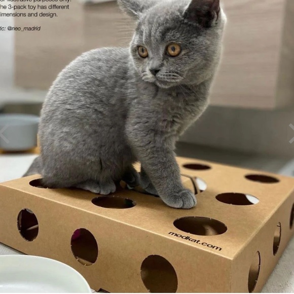 Modcat Cardboard Toy 13x17x3 Holes Ball Scratch Chase Catch Fun Kitten Cat Play - Picture 8 of 8